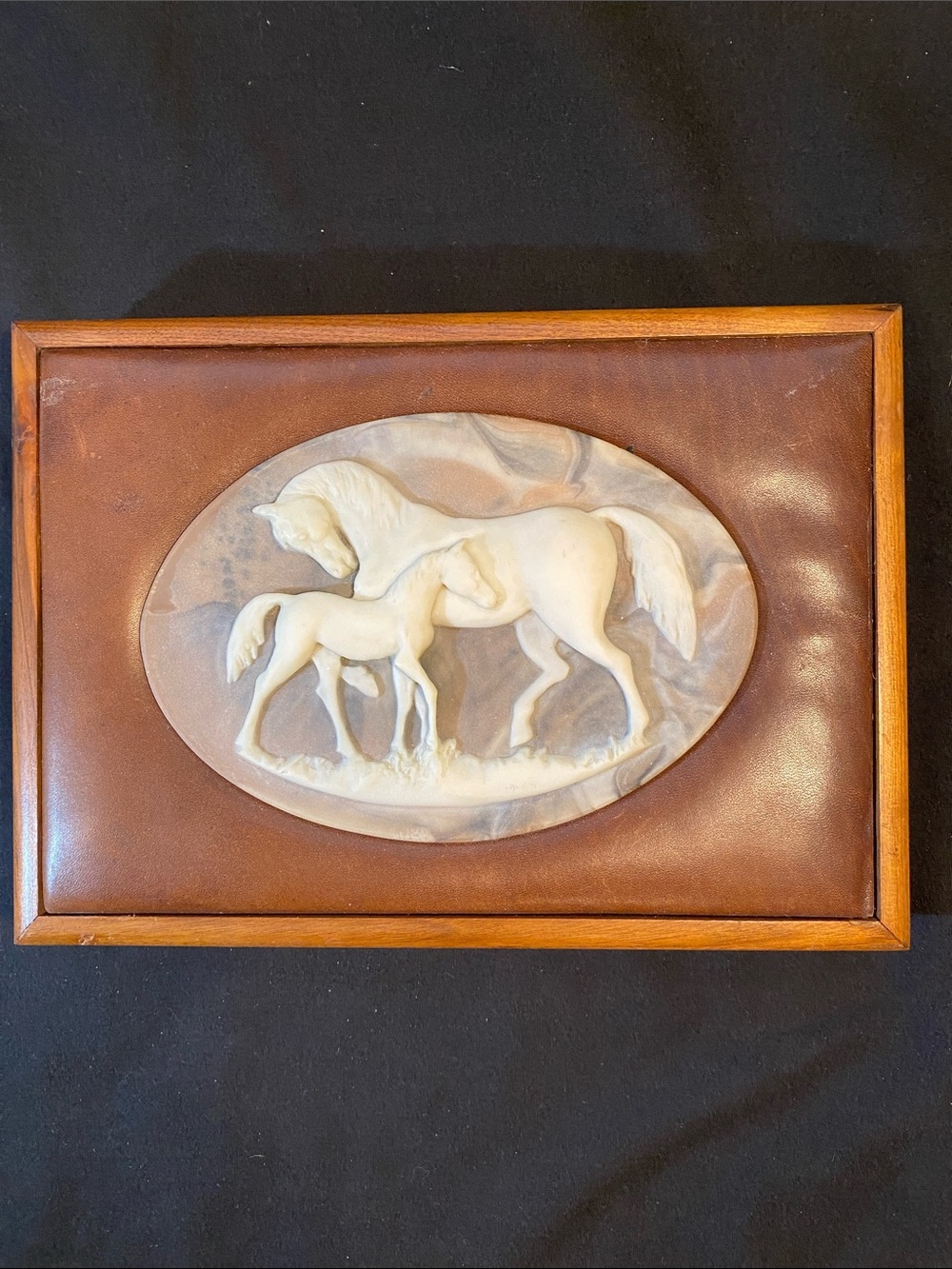Vintage Dante Mare & Colt Display Box